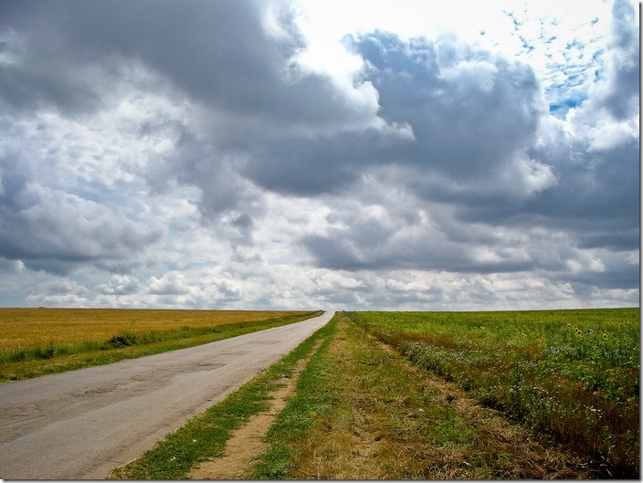 дорога між Петрівками