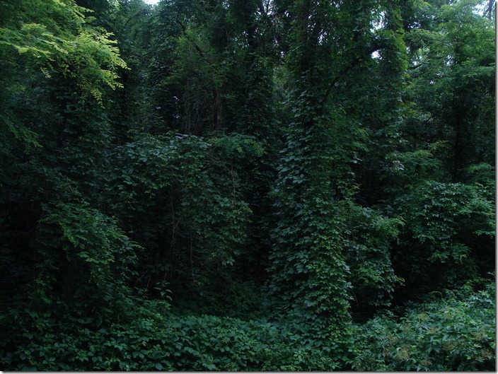 Тараканівський форт