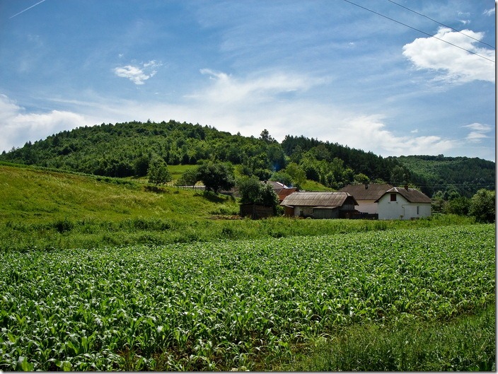 Криниця
