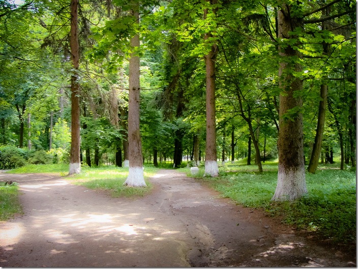 Комаргород, парк  палацу Балашових