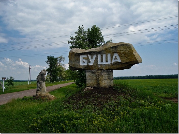 Буша