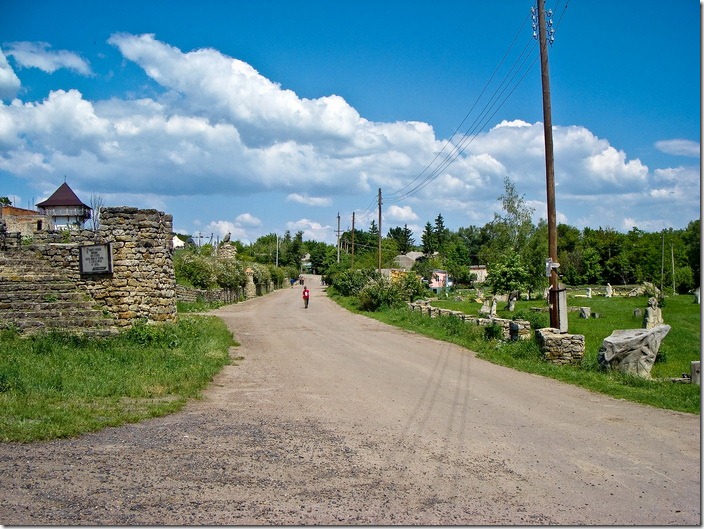 Буша